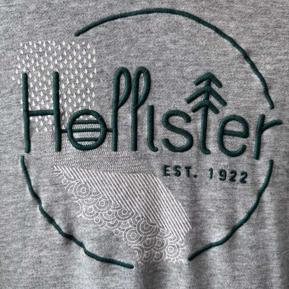 Hollister Gray Hoodie with Embroidered Graphic in Dk‎ Green Stitching, Small - Picture 7 of 15